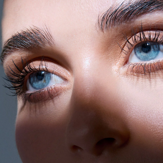 Lash & Brow Styler