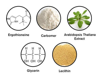 Huyết thanh ma trận DNA nhỏ